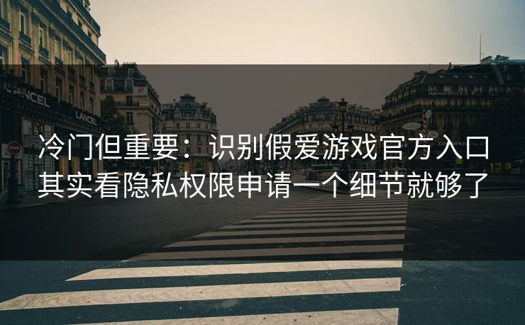 冷门但重要：识别假爱游戏官方入口其实看隐私权限申请一个细节就够了