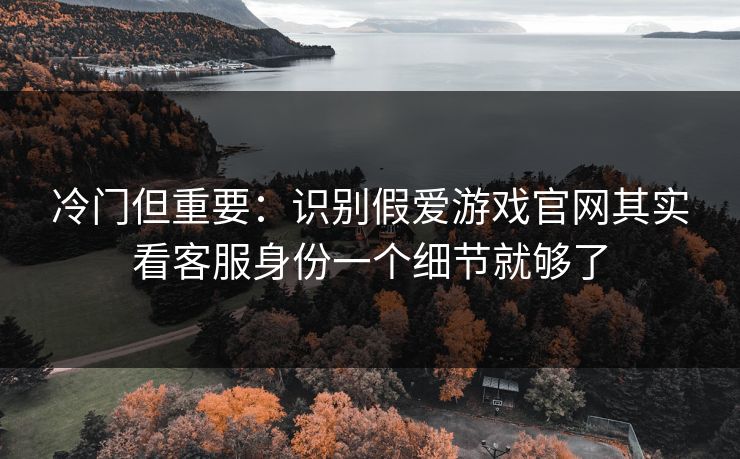 冷门但重要：识别假爱游戏官网其实看客服身份一个细节就够了