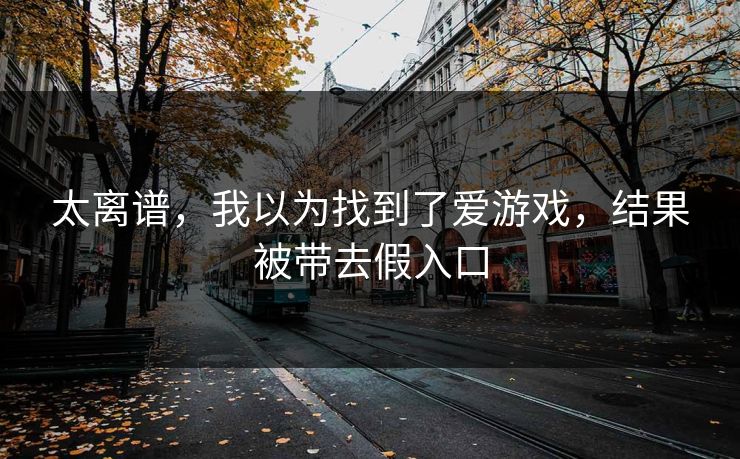 太离谱，我以为找到了爱游戏，结果被带去假入口