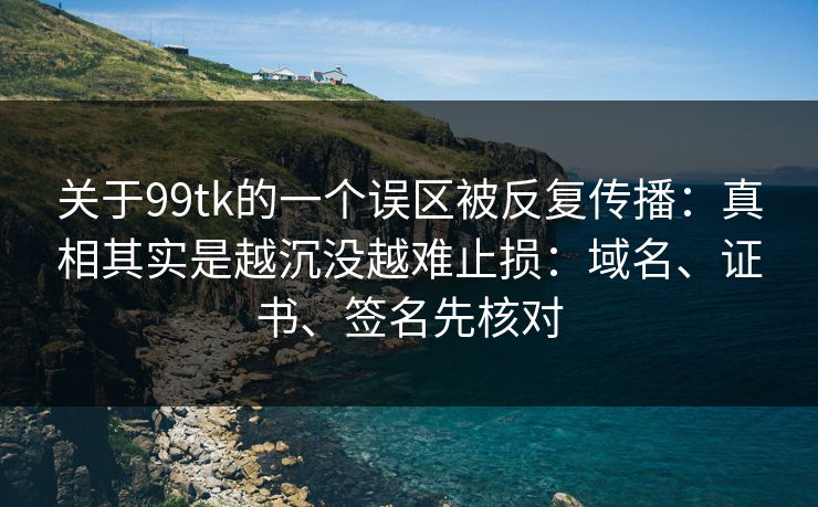 关于99tk的一个误区被反复传播：真相其实是越沉没越难止损：域名、证书、签名先核对