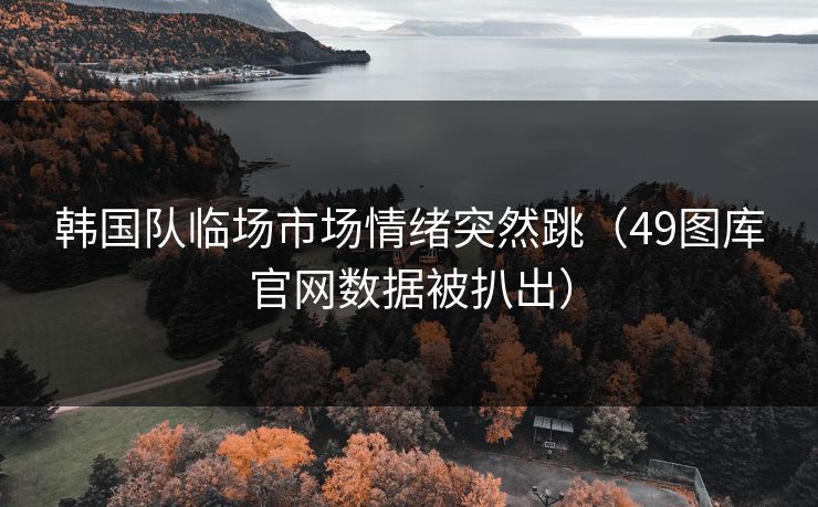 韩国队临场市场情绪突然跳（49图库官网数据被扒出）