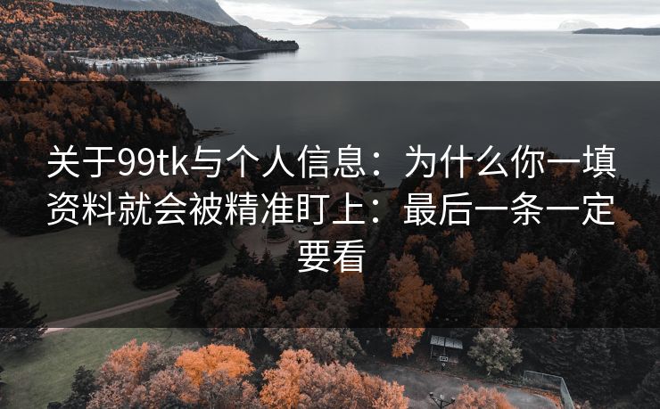 关于99tk与个人信息：为什么你一填资料就会被精准盯上：最后一条一定要看